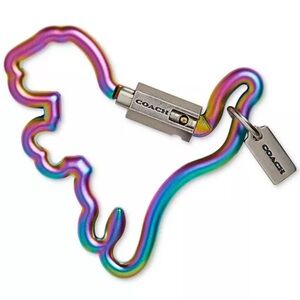 Coach Rexy Oil Slick Carabiner
